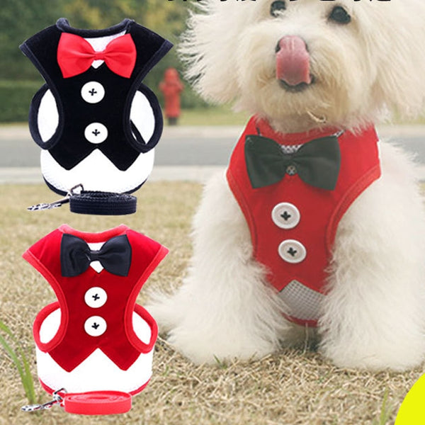 Valet Vest Harness
