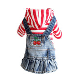 Dress in Denim