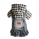 Dress in Denim