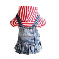 Dress in Denim