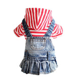 Dress in Denim