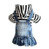 Dress in Denim