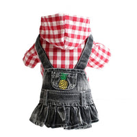 Dress in Denim