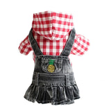 Dress in Denim
